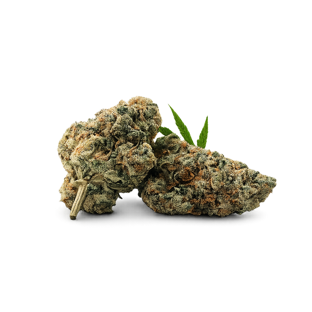 PORN STAR OG
