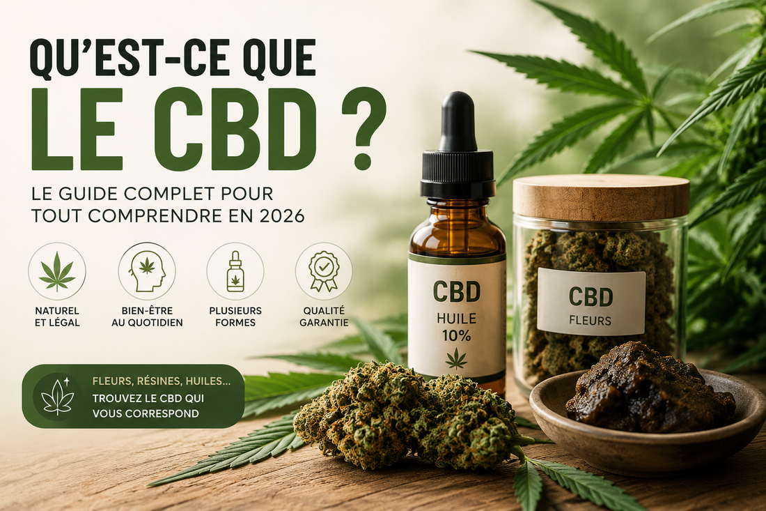 Qu'est-ce que le CBD ? Le guide complet