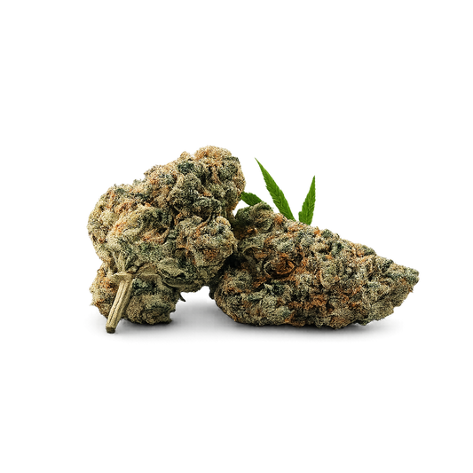 PORN STAR OG