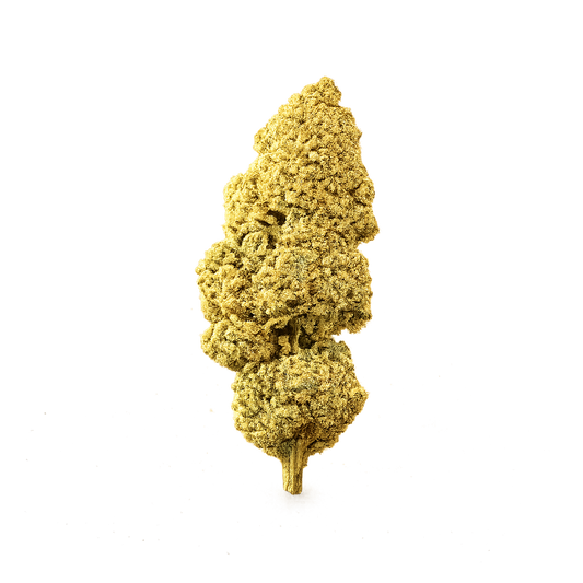 TROPICAL PUNCH